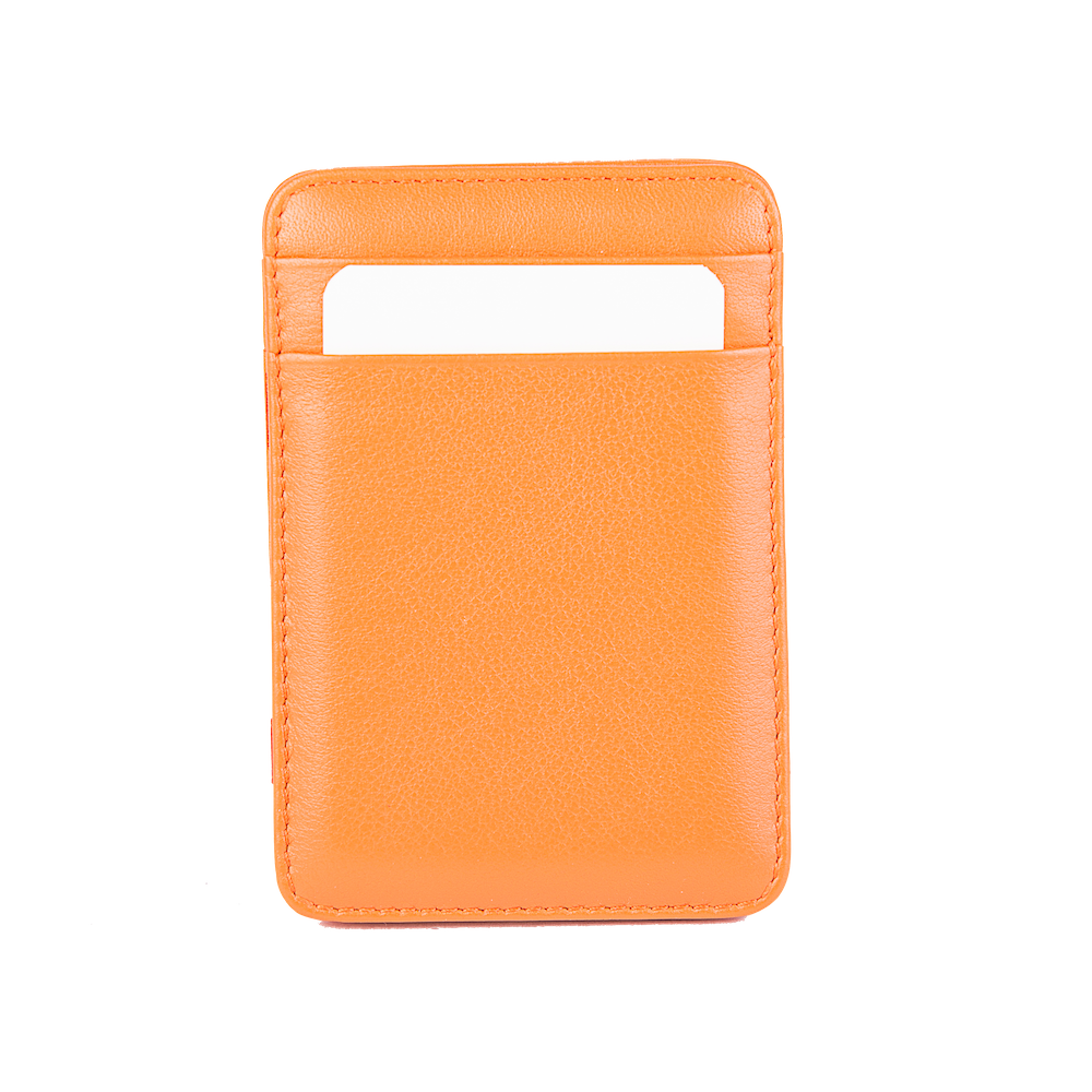 small-leather-goods-card-holder 01100301